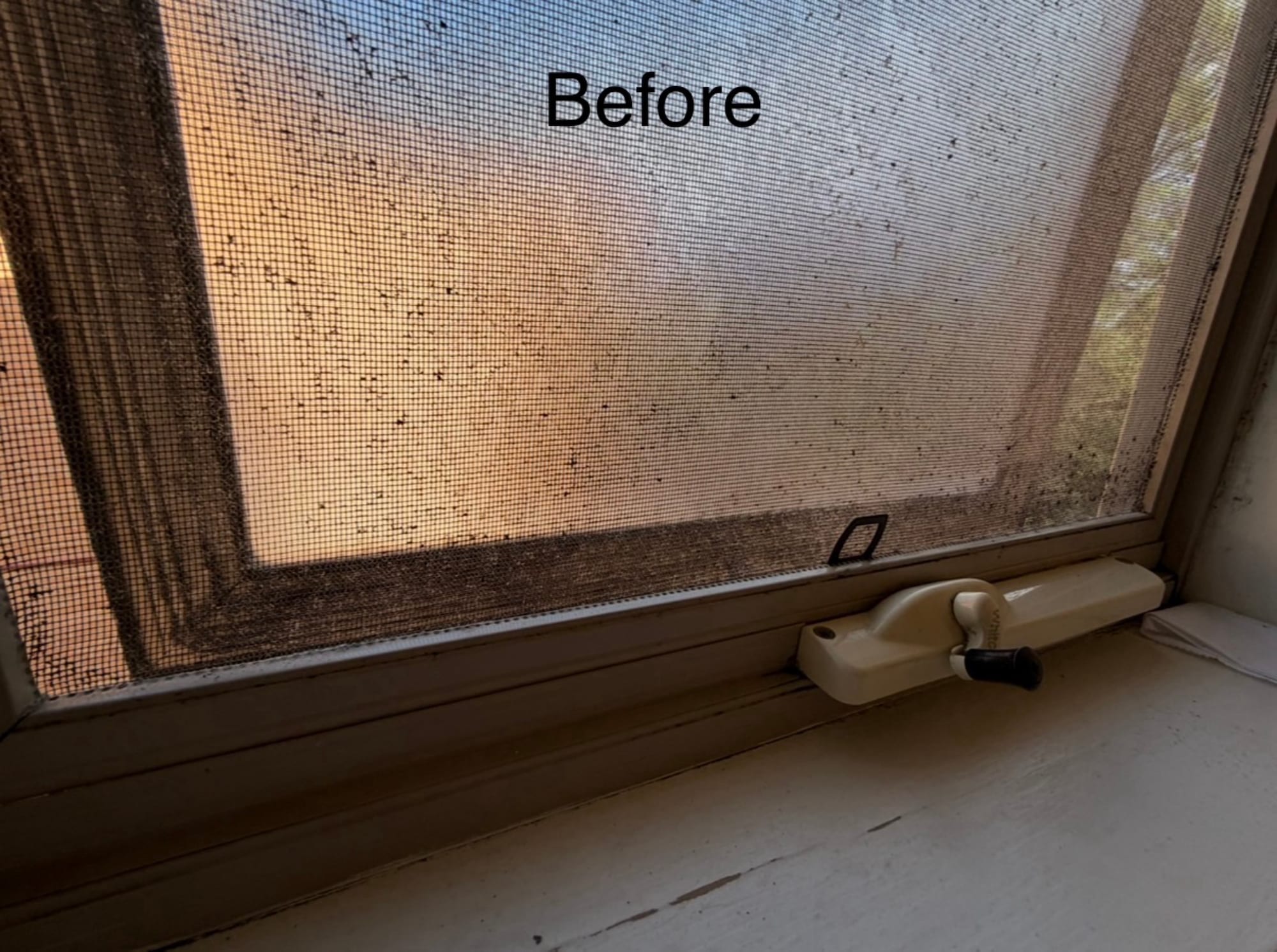 Dirty window screen before cleaning