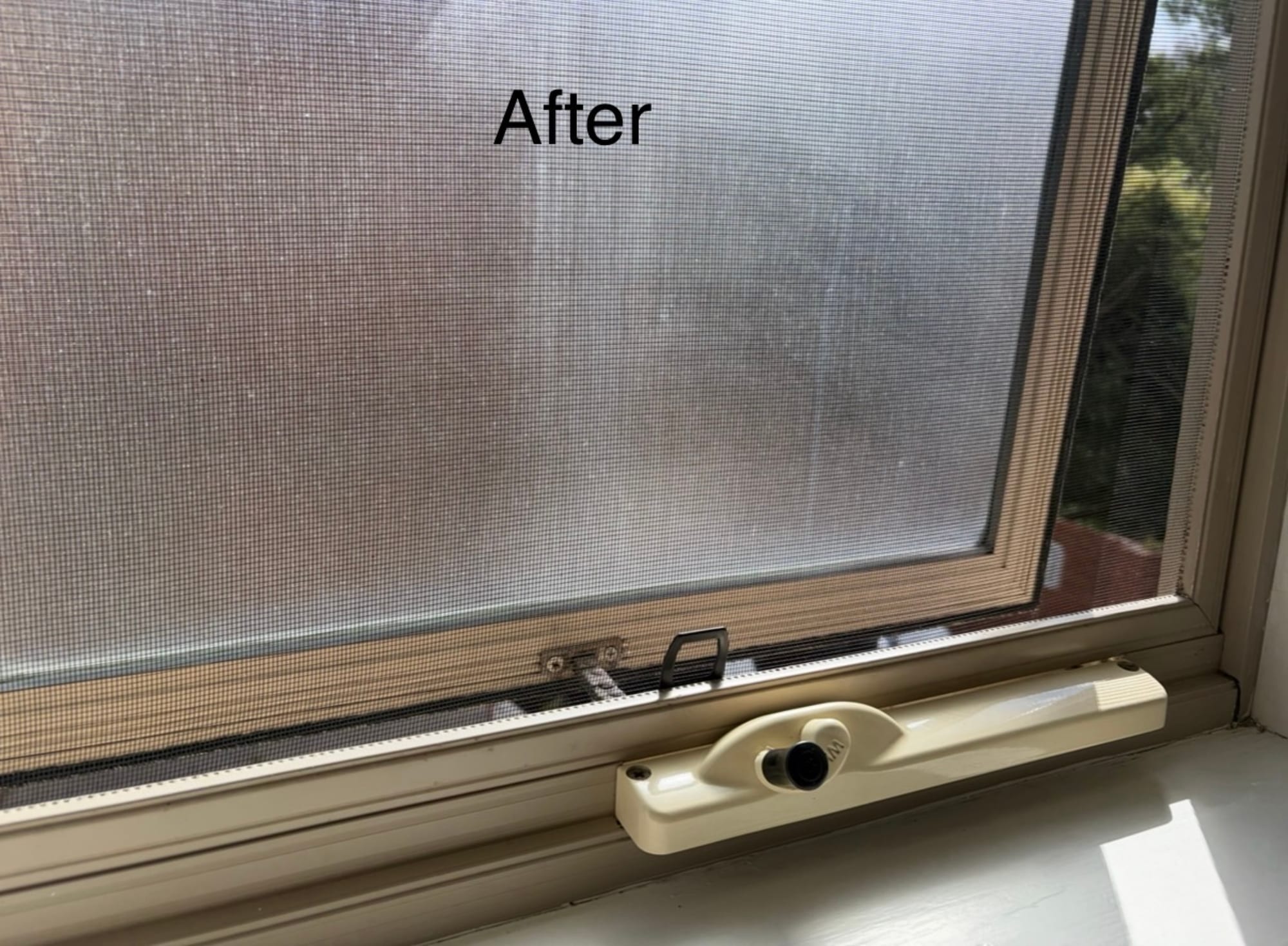 Clean window screen after